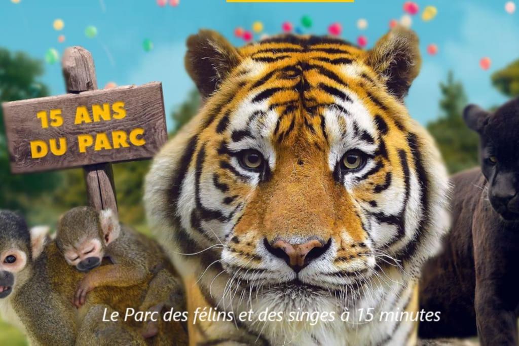 Cocon A La Campagne - Disney 20 Min - Paris 40 Min - 2 Terrasses Dammartin-sur-Tigeaux Exteriör bild
